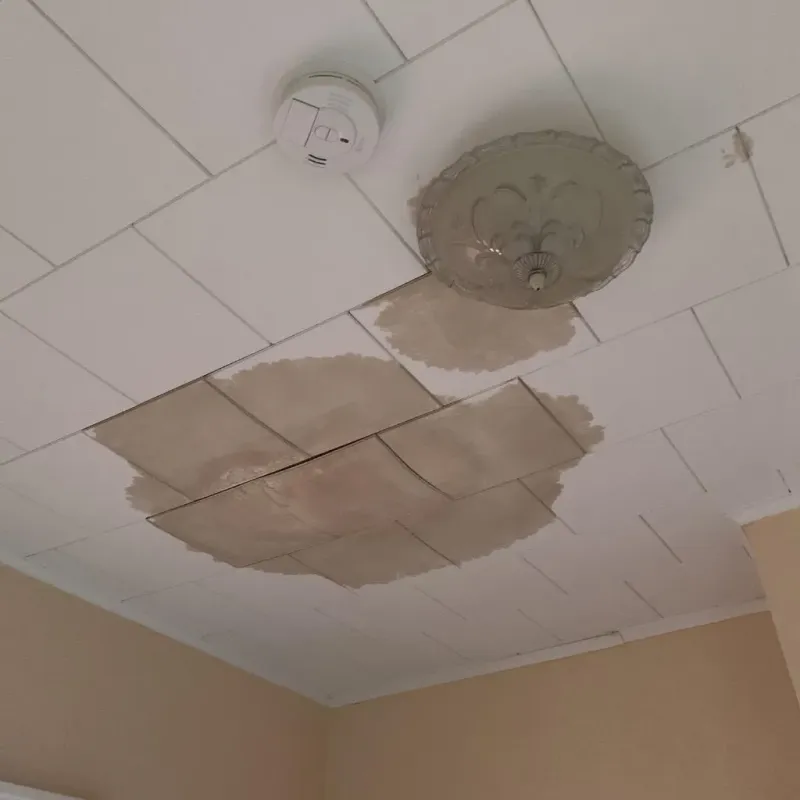Ceiling Water Damage Repair in White Pine, TN
