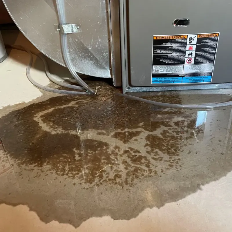 Pipe Burst and Leak Restoration in White Pine, TN