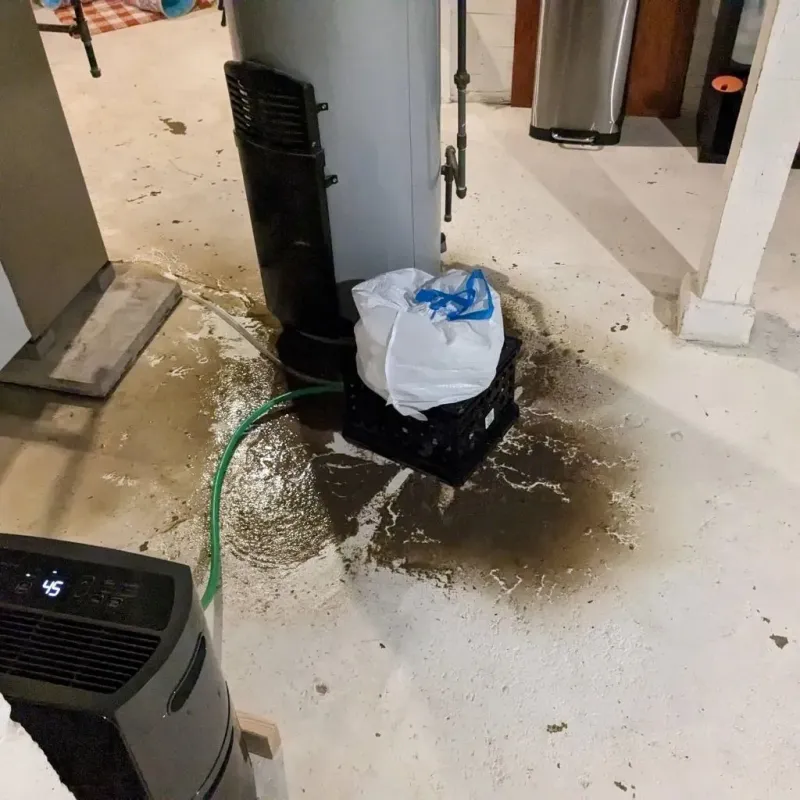Sewage Backup Cleanup Service in White Pine, TN
